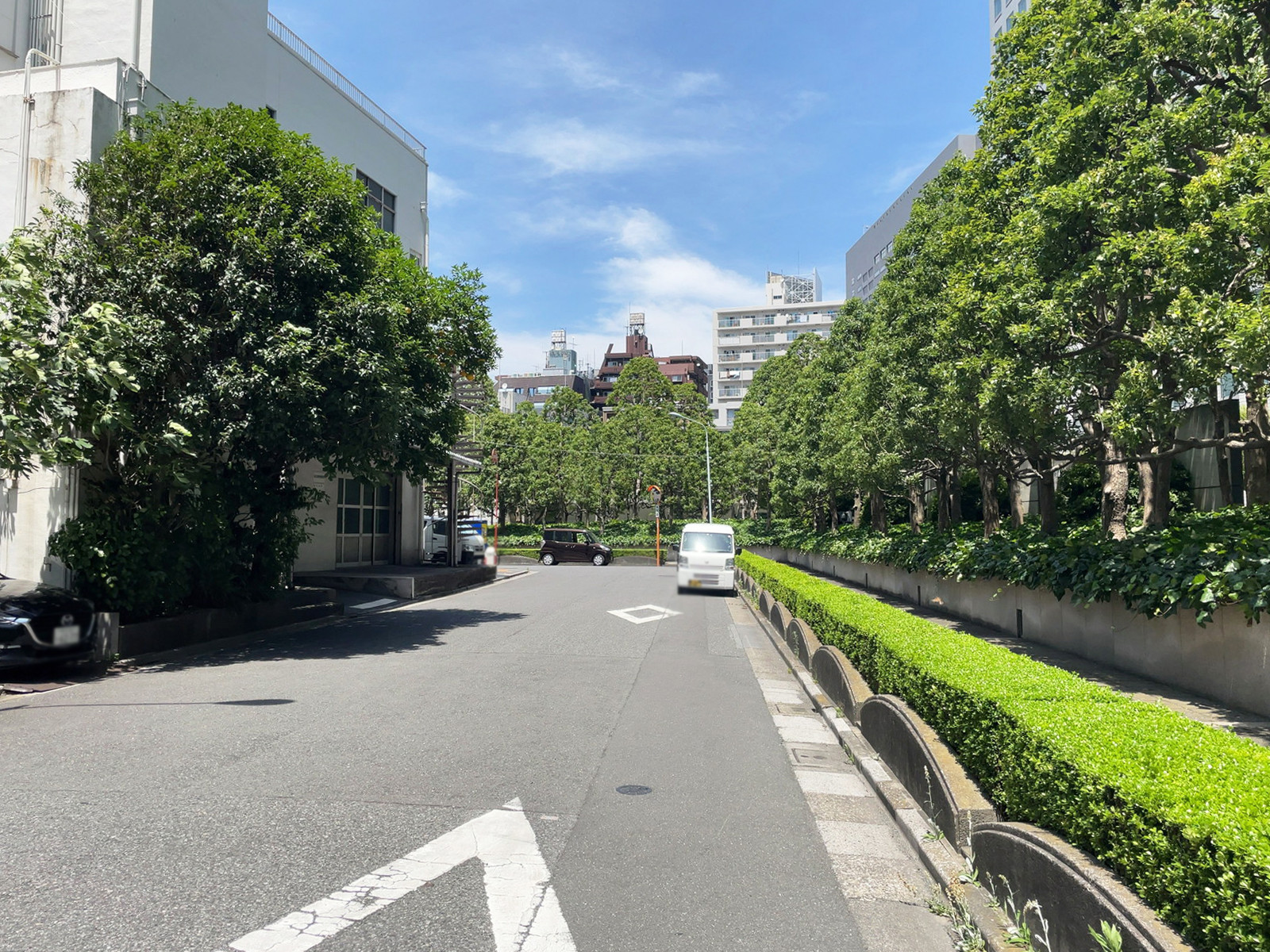 TKB高尾稲荷前面の通り