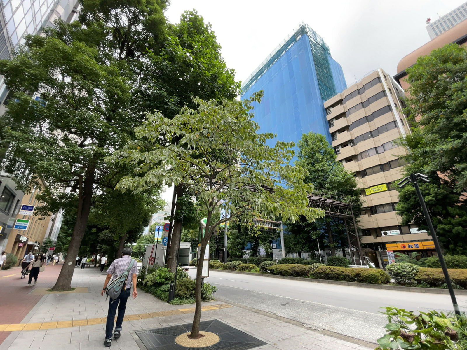 東陽興産ビル前面のグリーン大通り