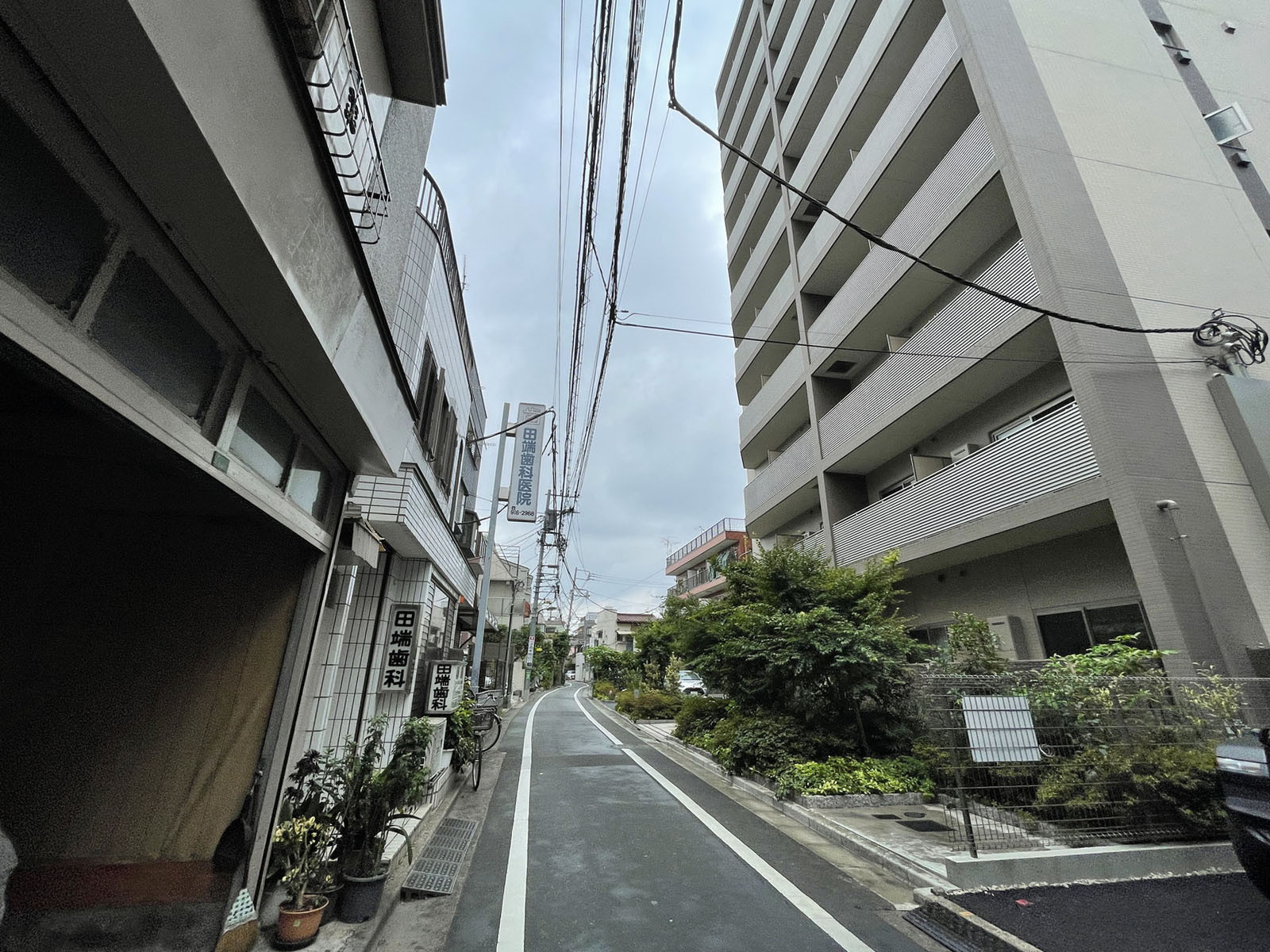 上池袋ハイツ前面の通り