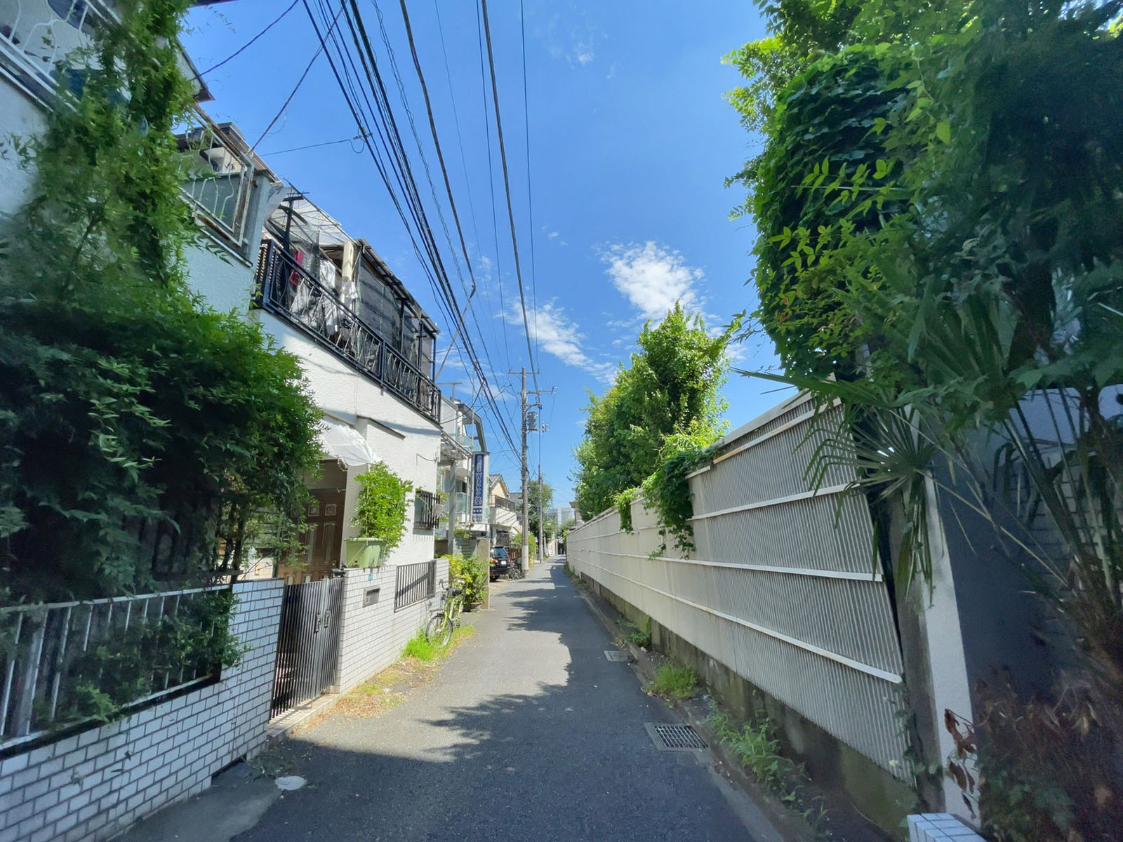 YSビル前面の通り