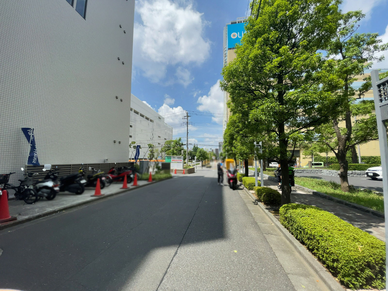 SDビル前面の通り