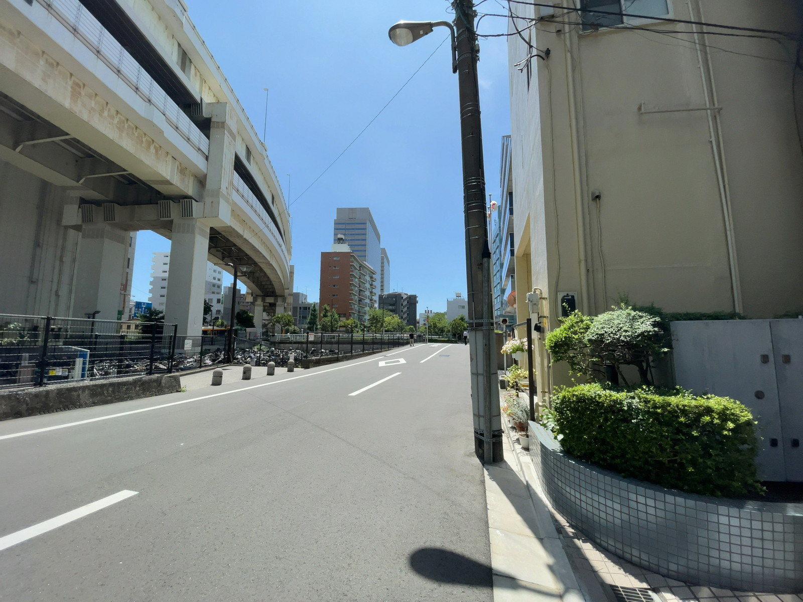 第一びる別館南棟前面の通り
