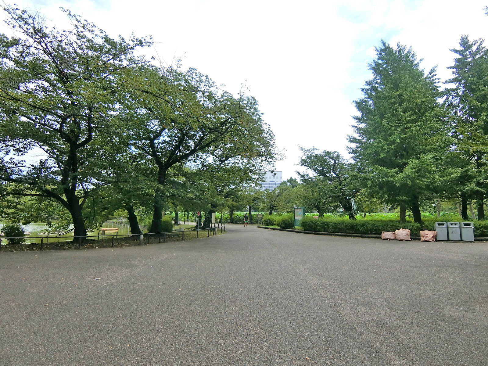 向かいの上野公園