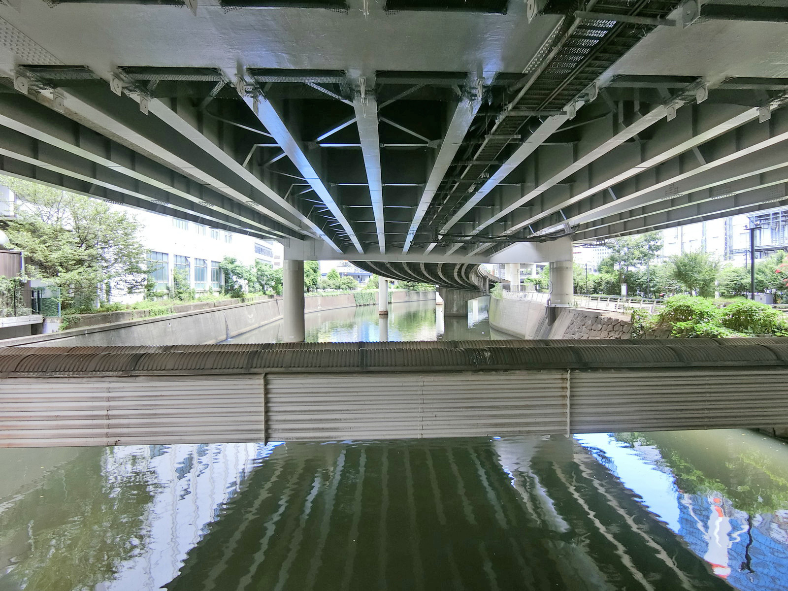 近くを流れる河川