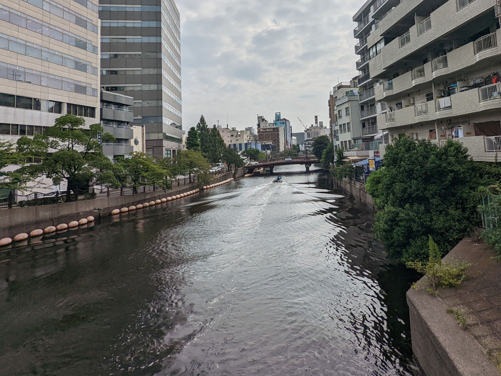 ビル裏手に流れる大岡川