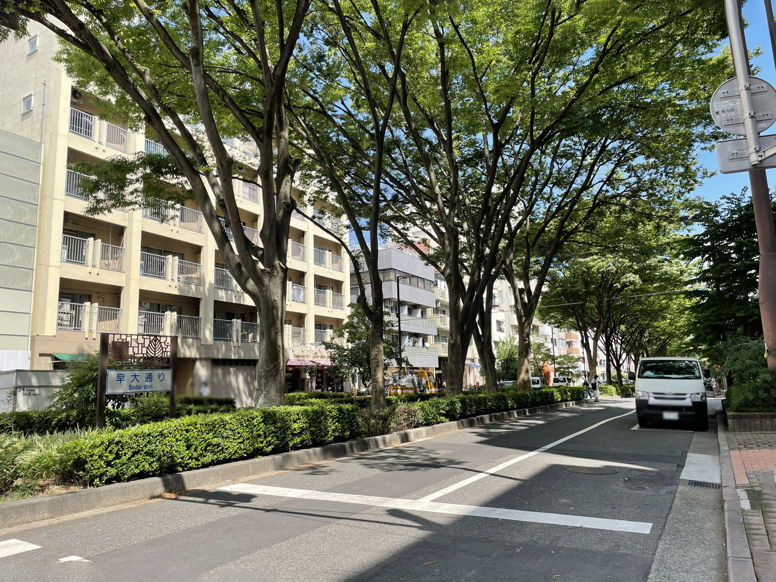 付近の早大通り