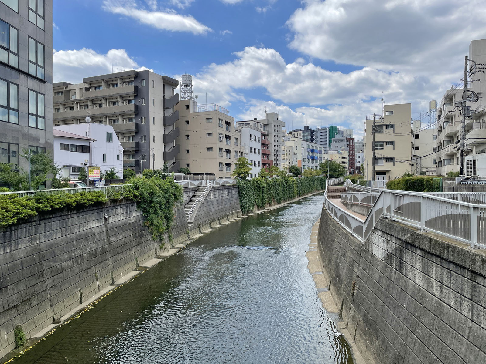 近くの神田川
