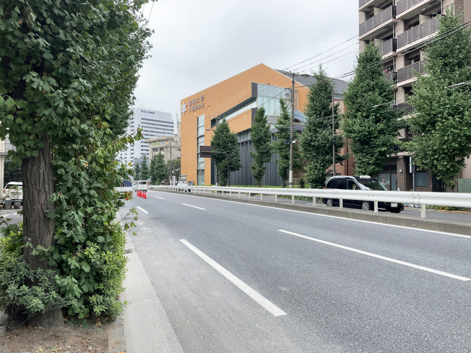 岡安ビル前面の中原街道