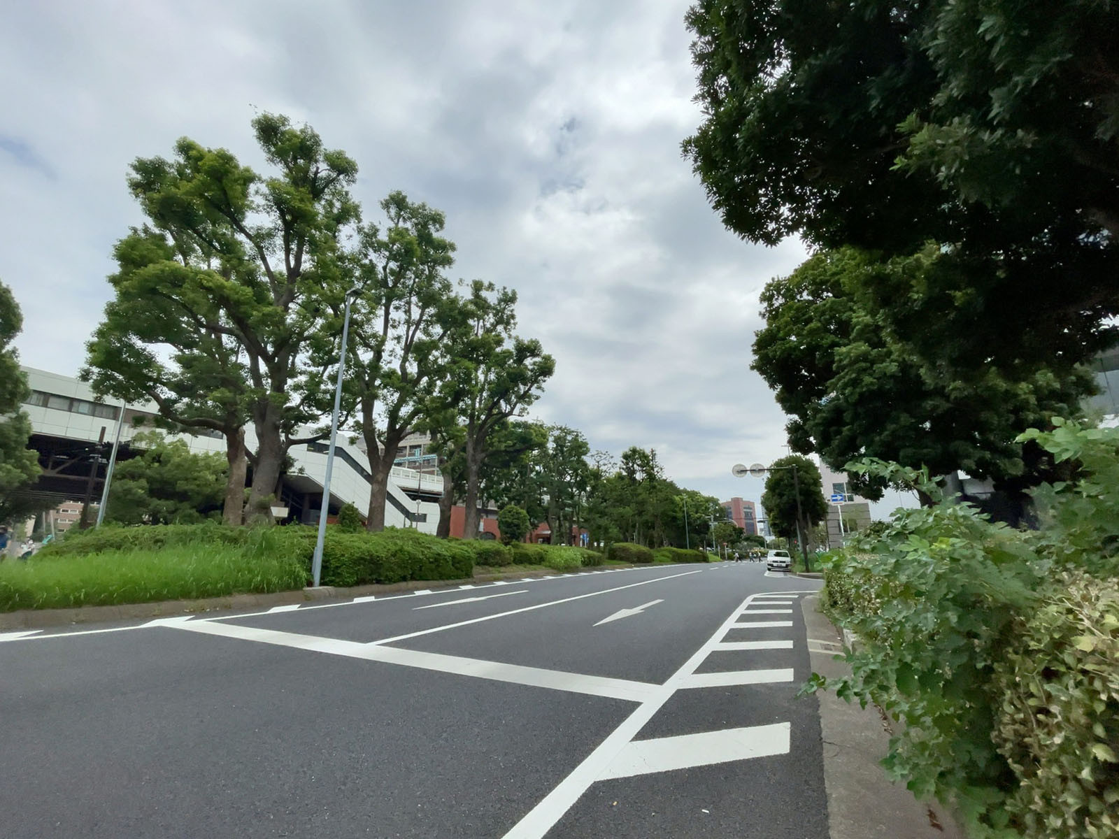 belle関内前面道路