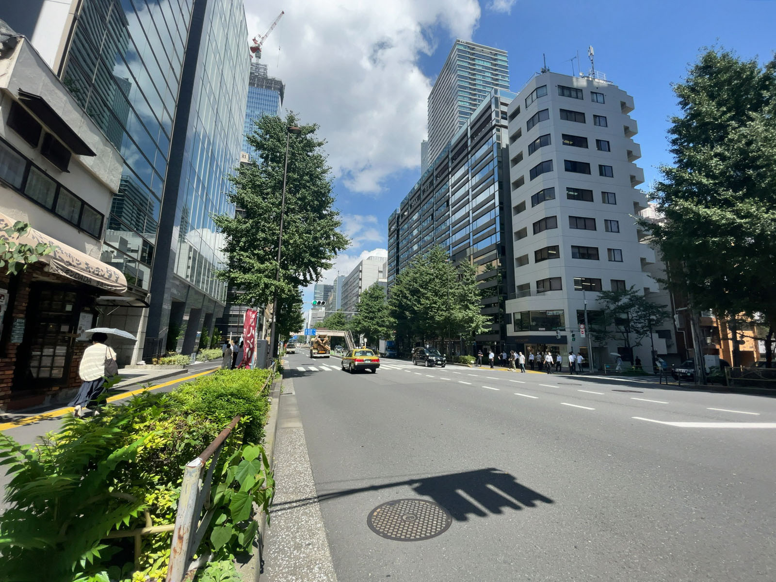 近くの桜田通り