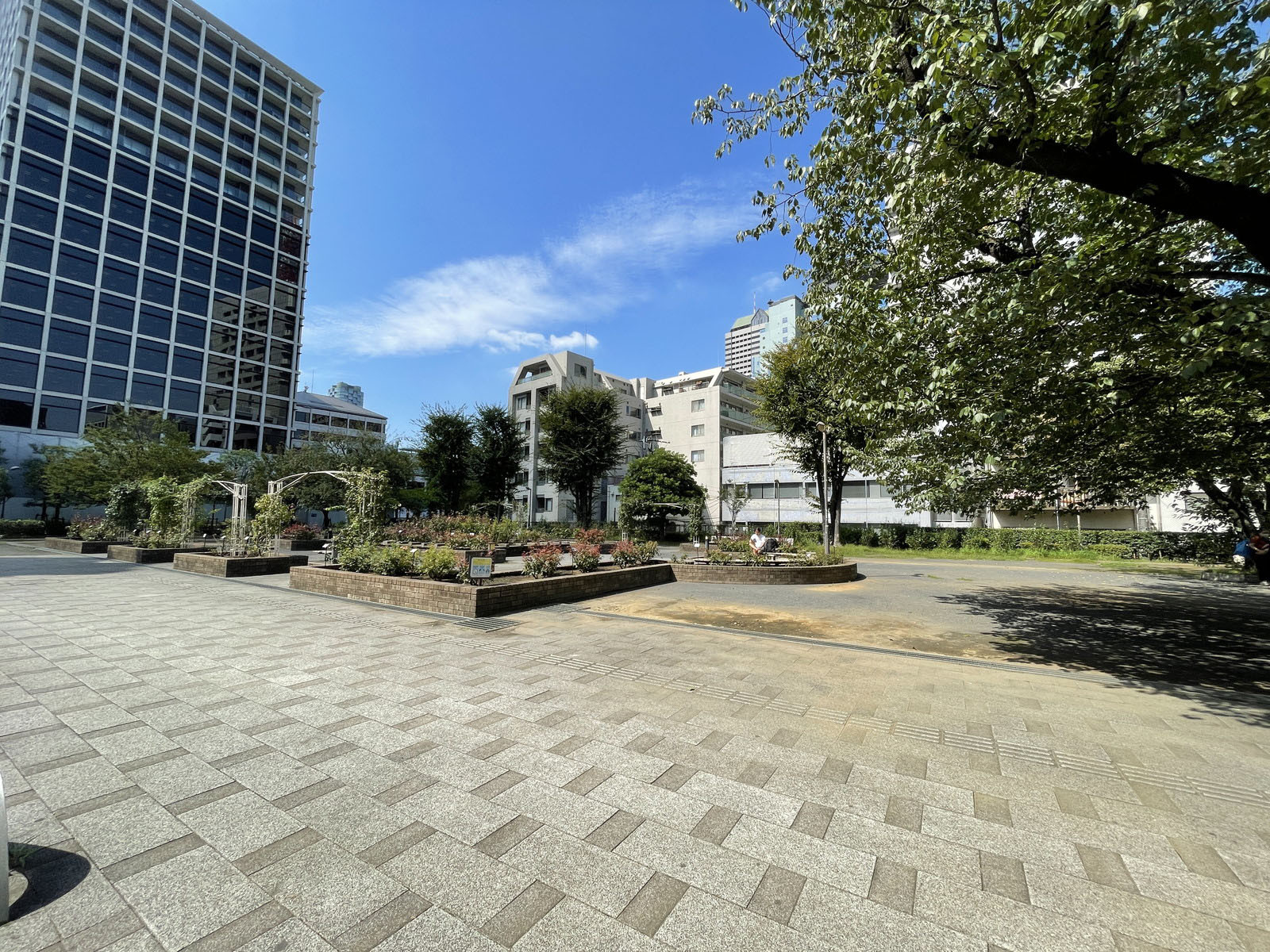 付近の港区立赤坂氷川公園