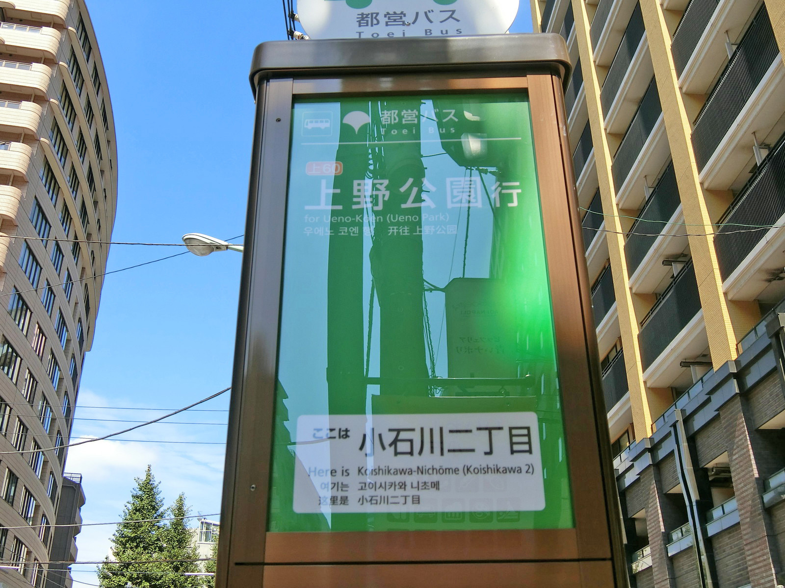 近くのバス停