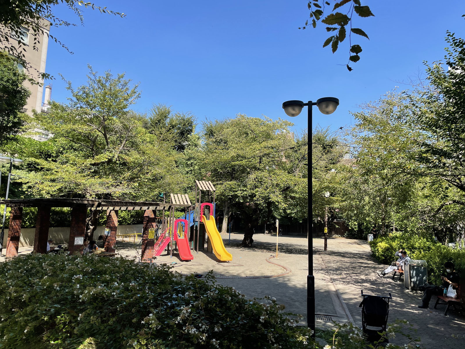 付近の山河台公園