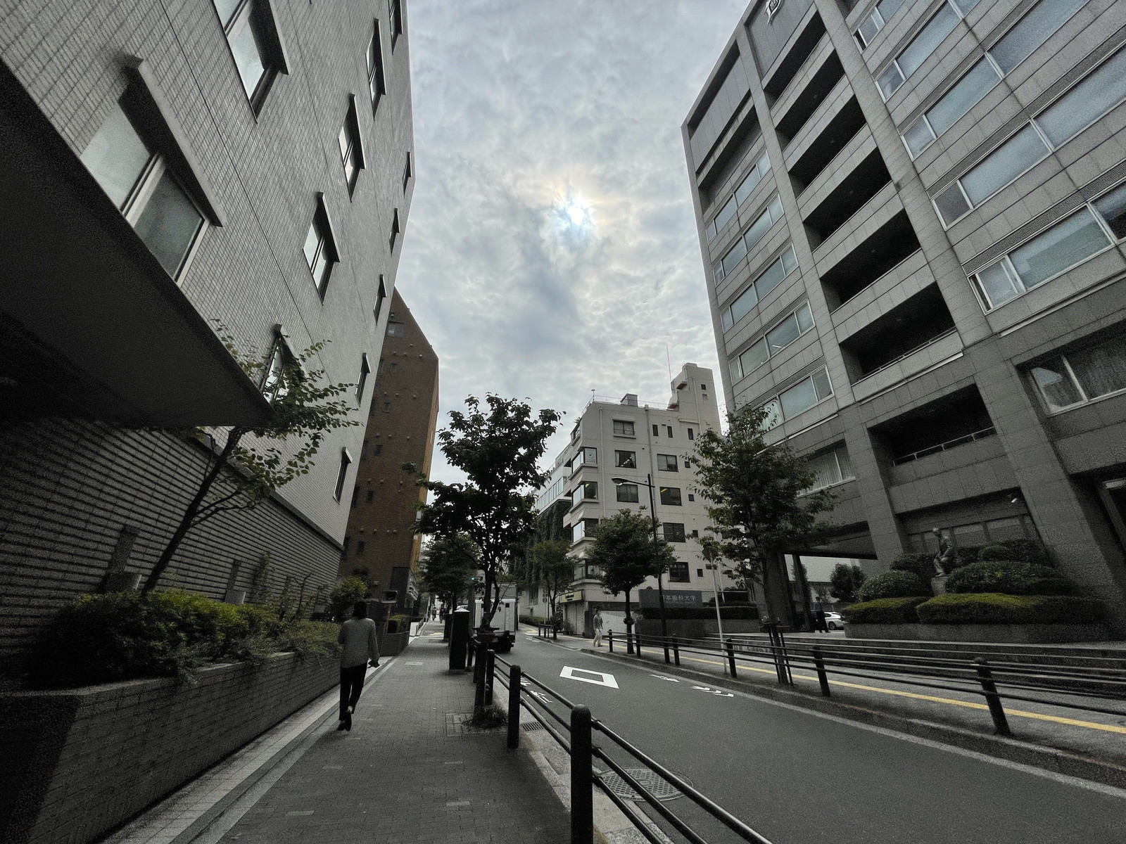 谷口ビル前面の通り