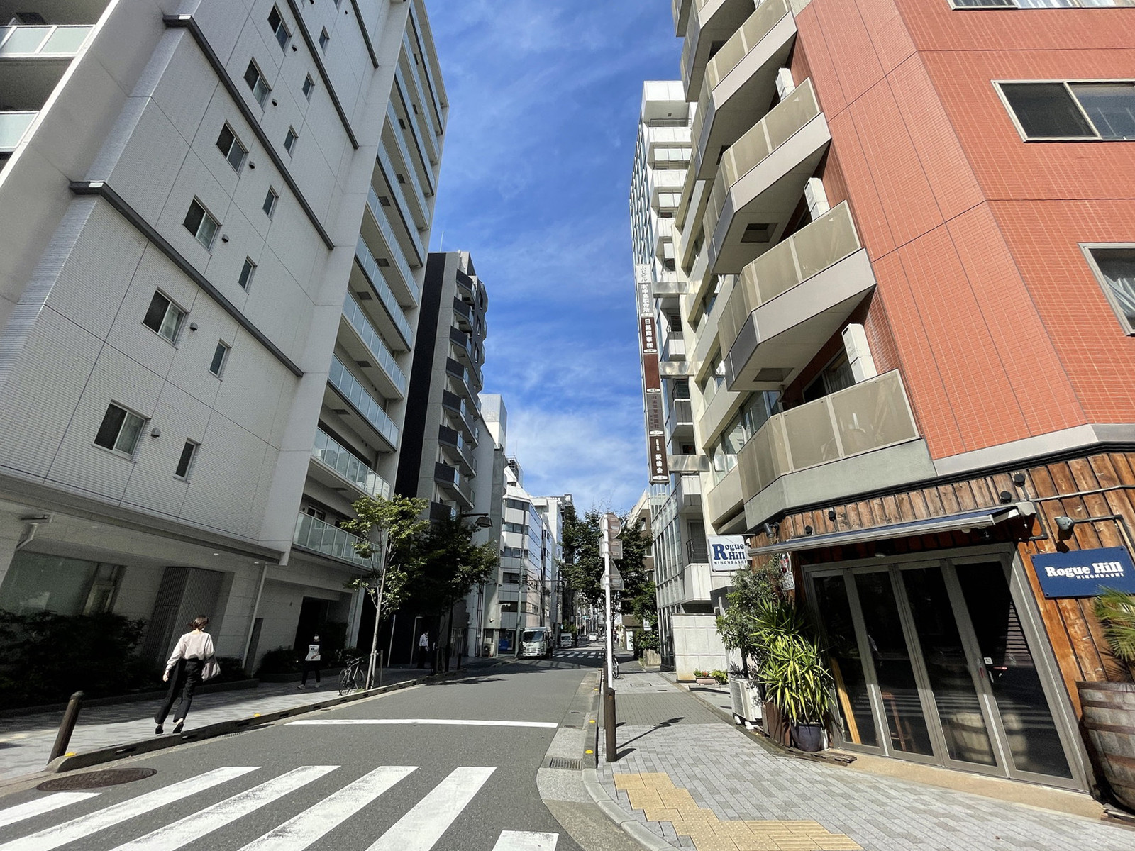 フジビル前面の通り