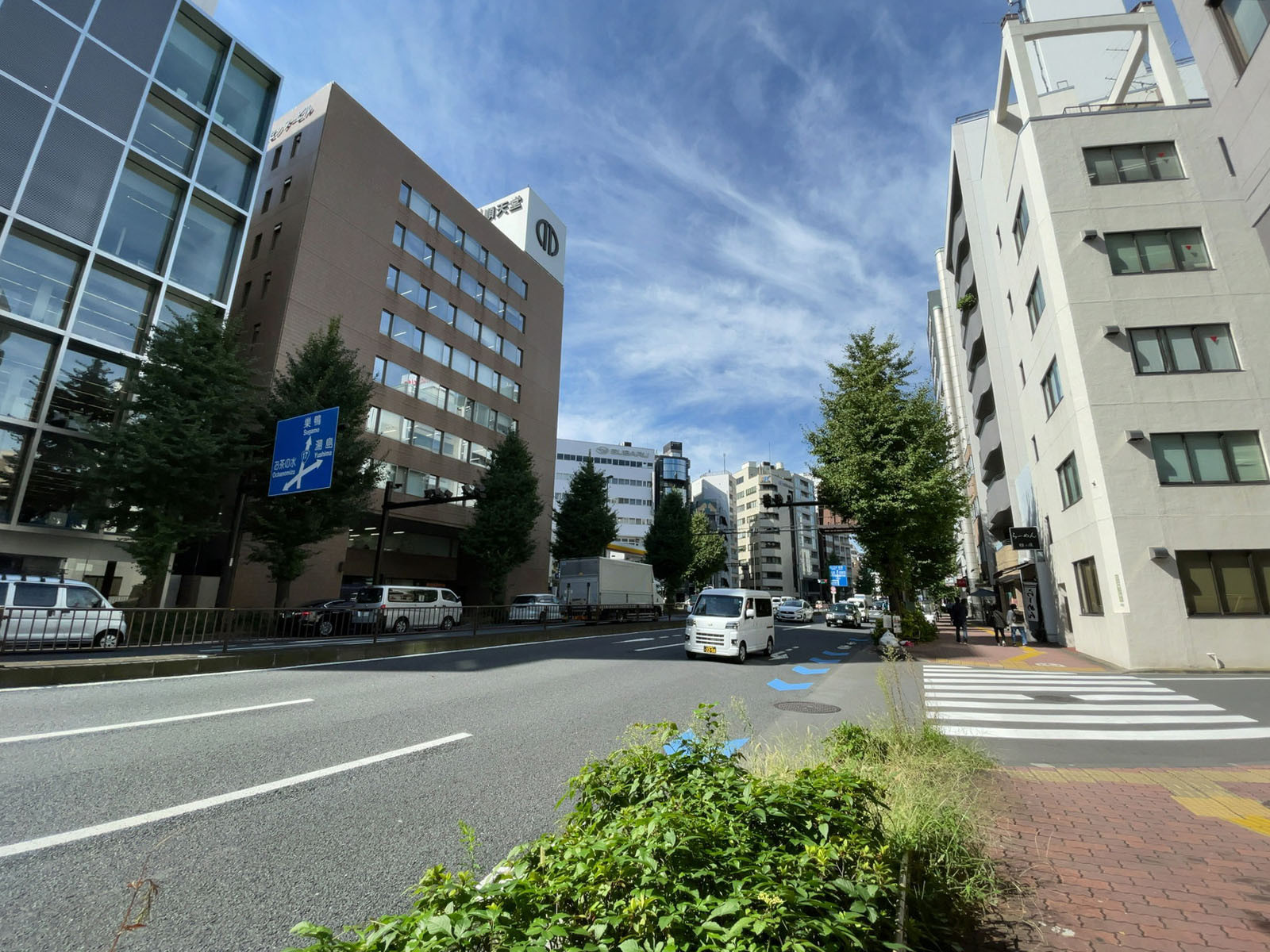 近くの本郷通り