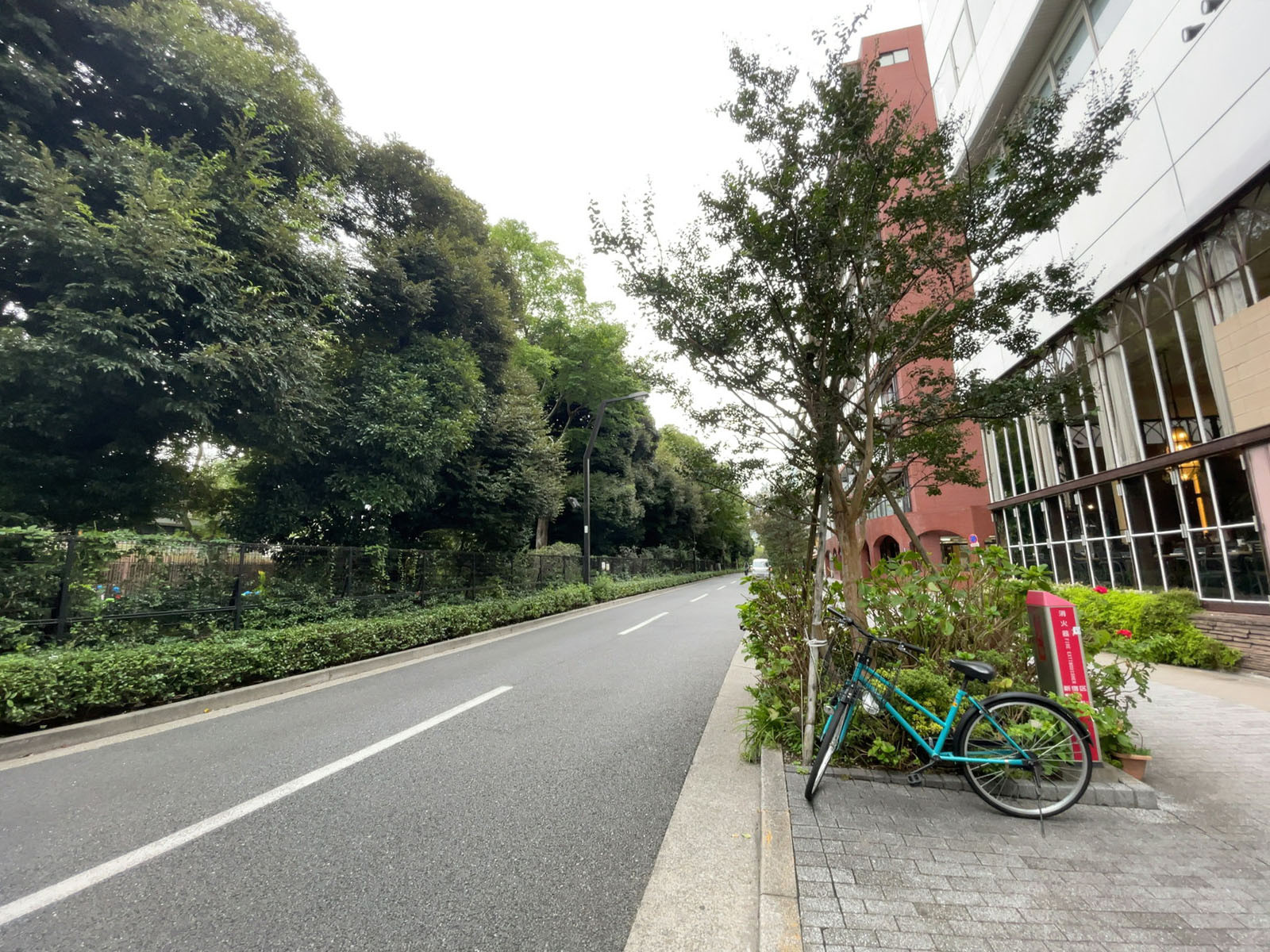 サカエ御苑マンション前面の通り