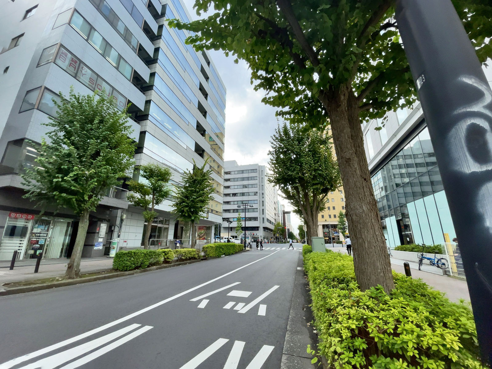 新横浜TSビル前面の通り