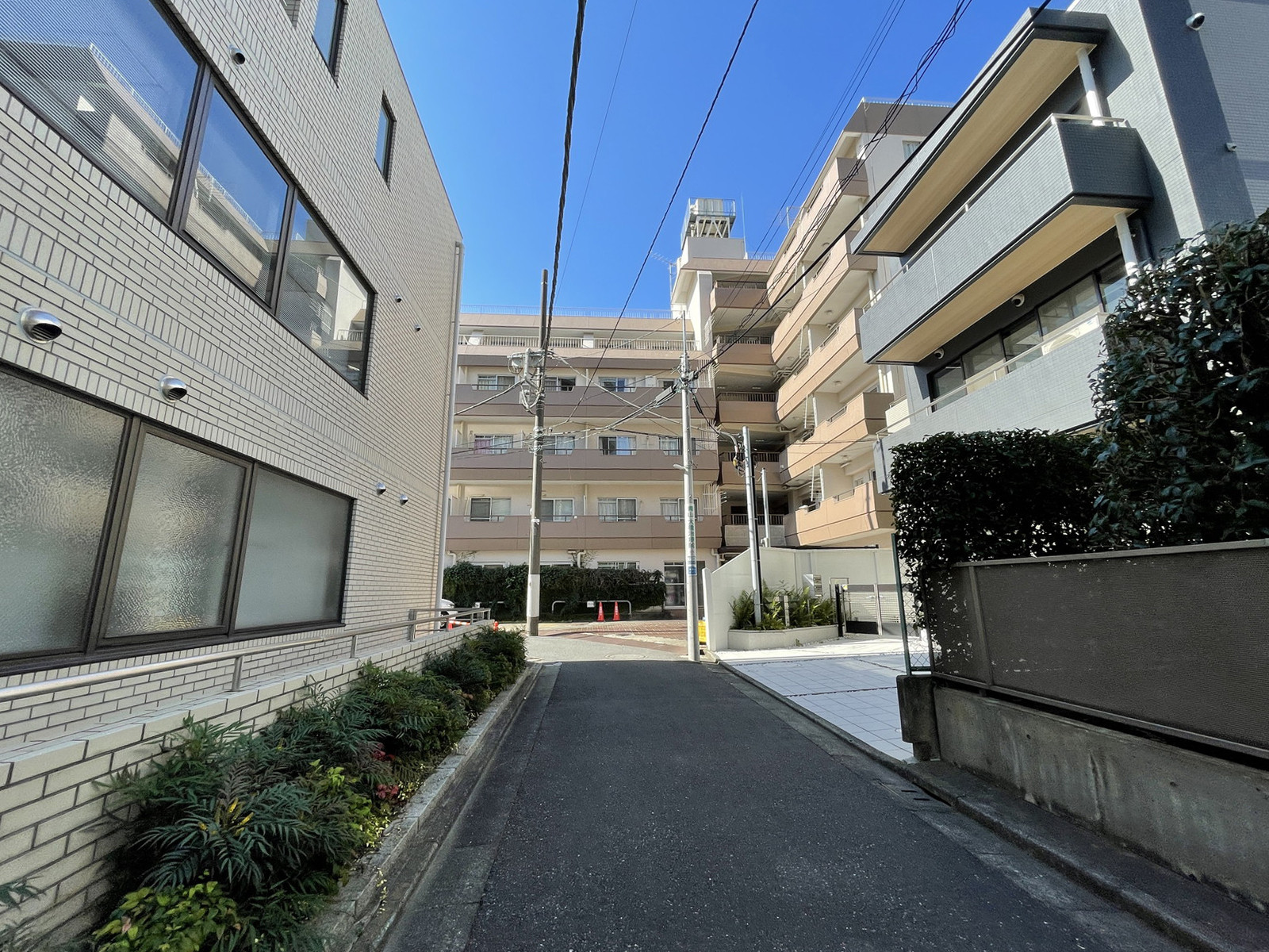 (仮)南青山二丁目ビル前面の通り