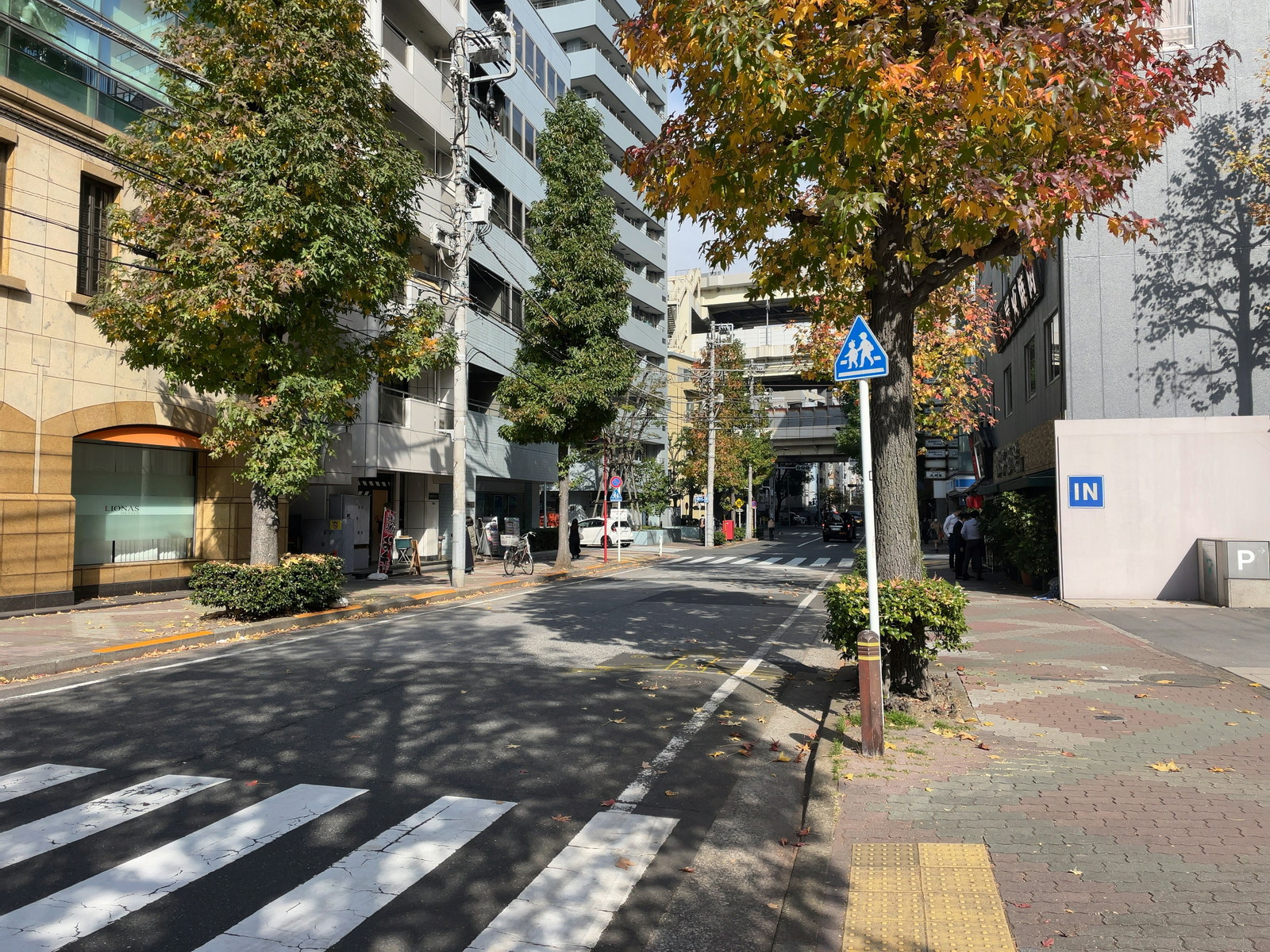 箱崎NSOビル前面の通り
