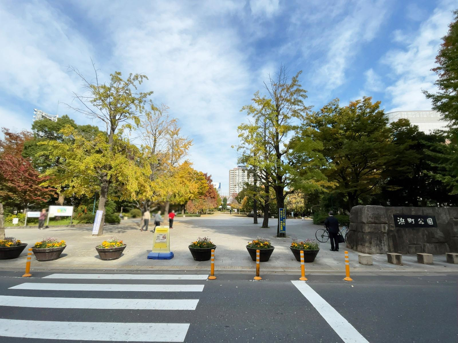 至近の浜町公園
