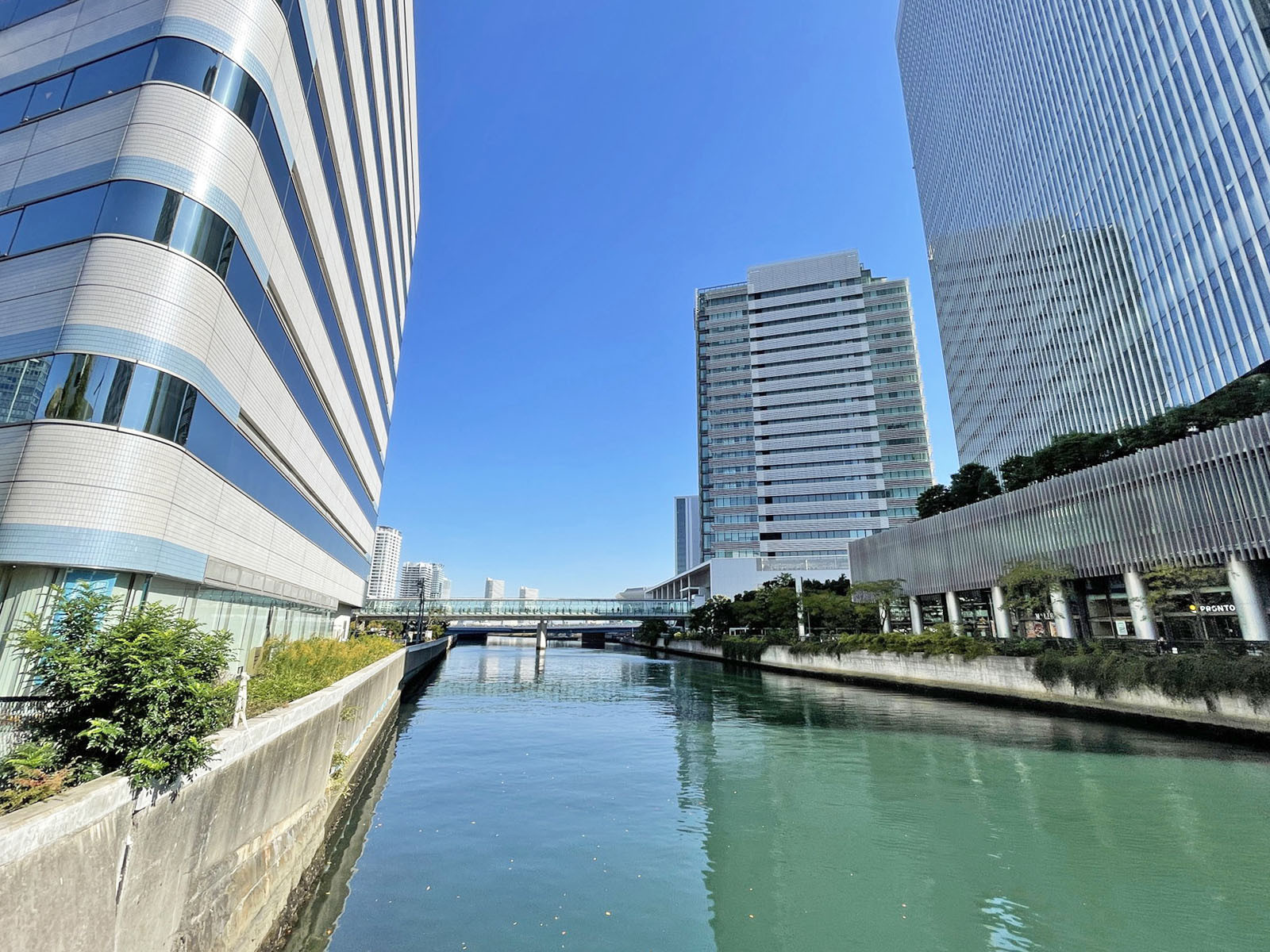 近くの帷子川