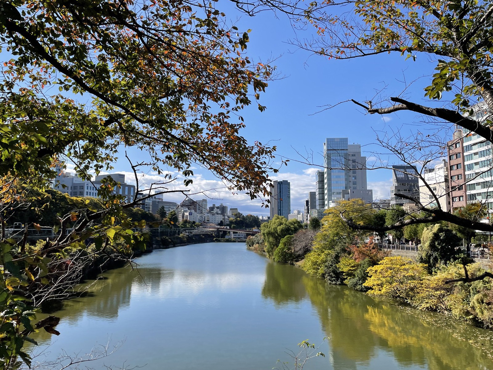 付近の神田川