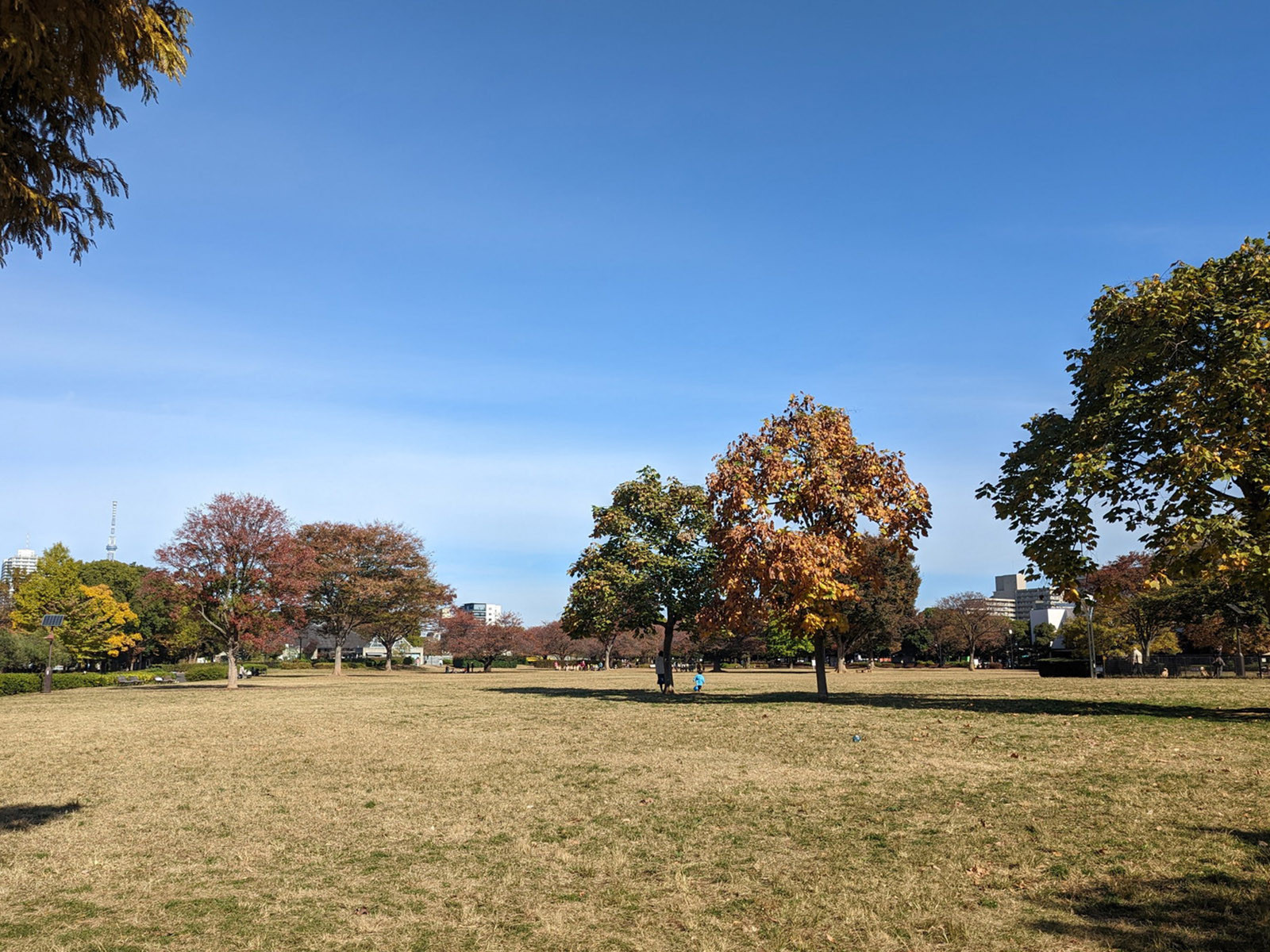付近の木場公園