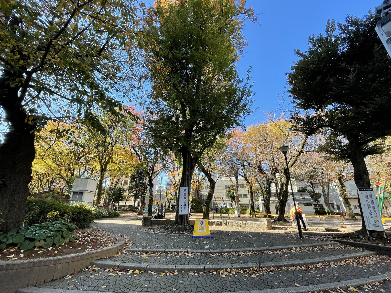 付近の西池袋公園