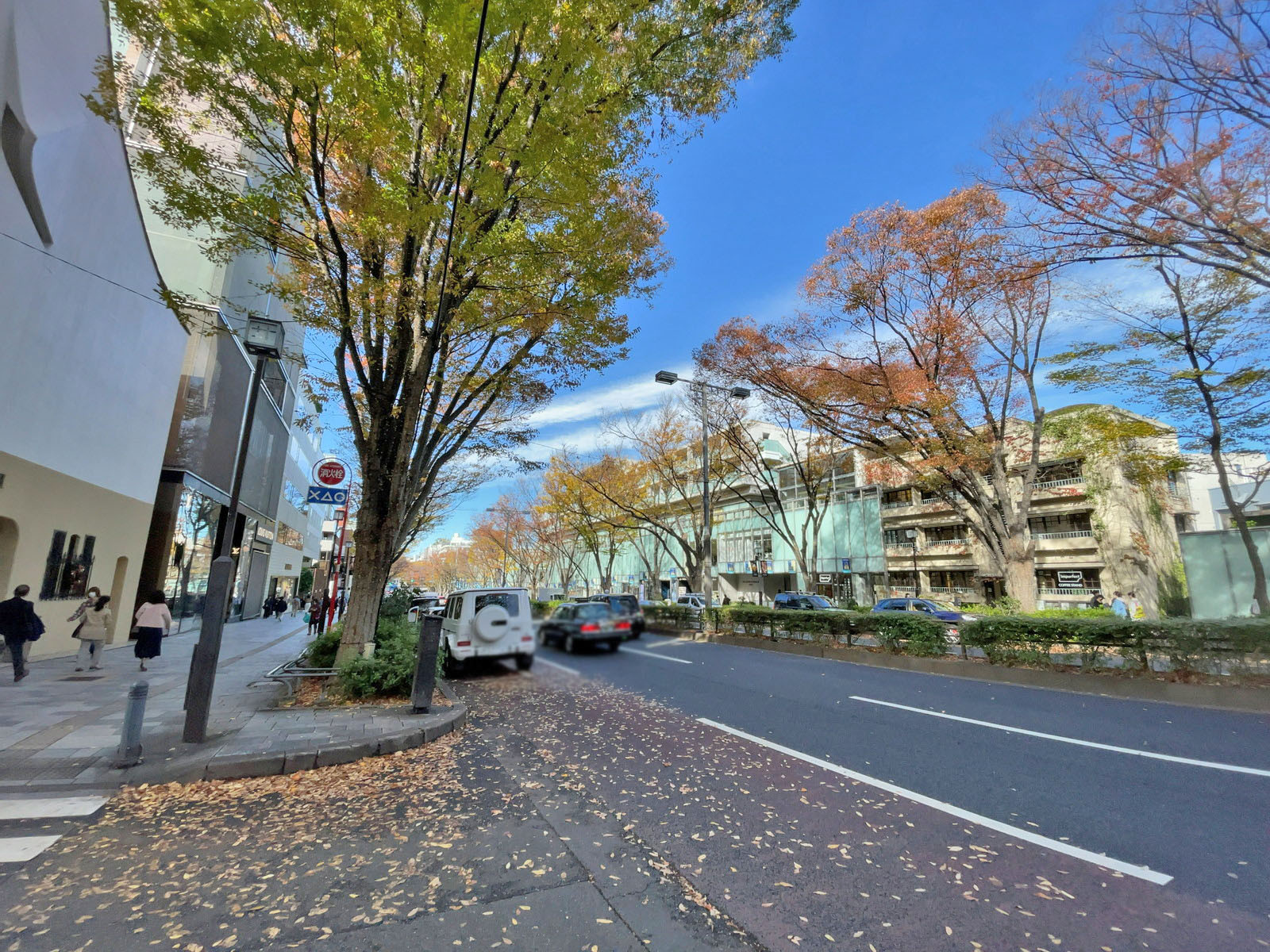 近くの表参道
