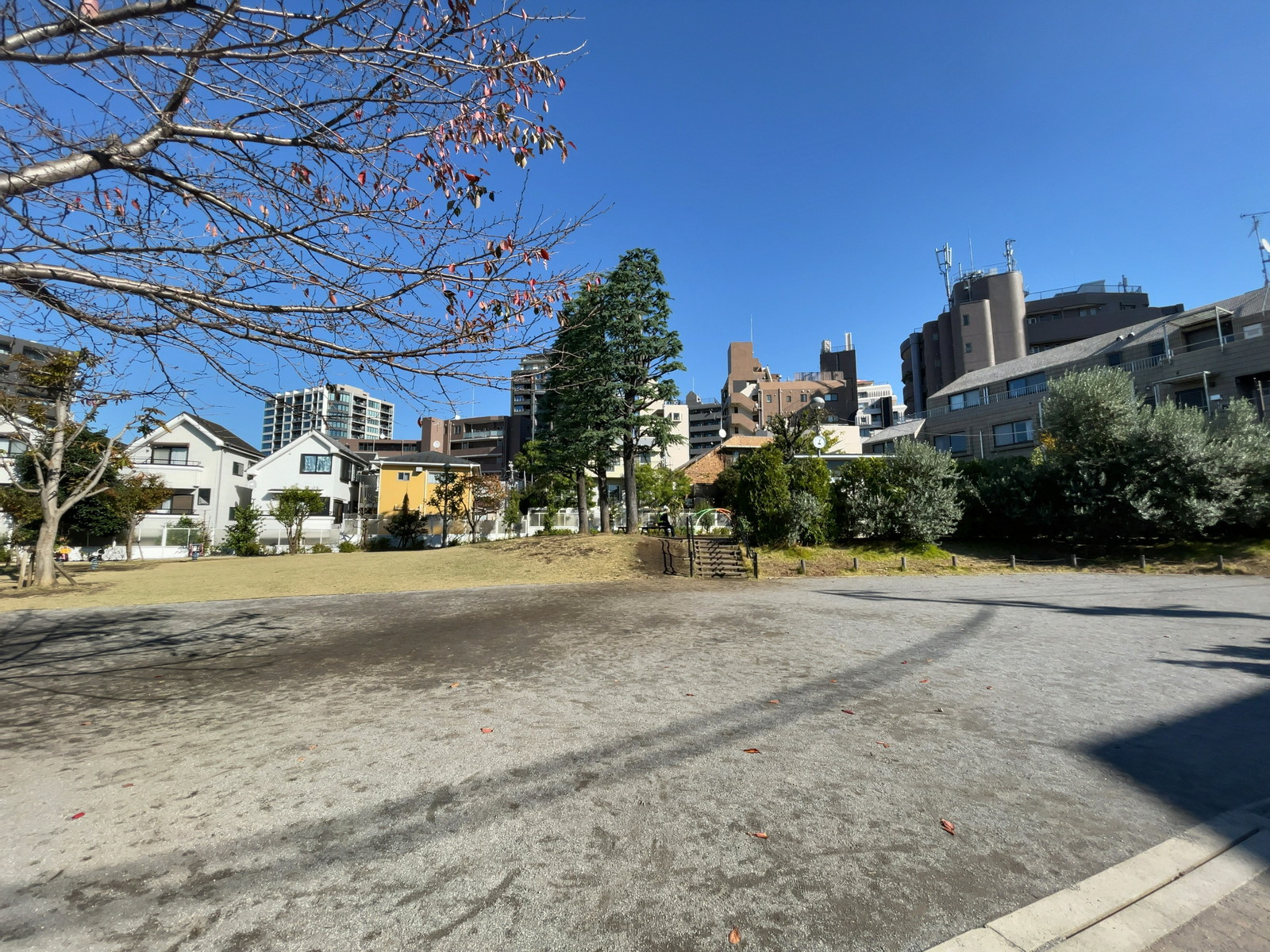 徒歩1分の富ヶ谷三本杉公園
