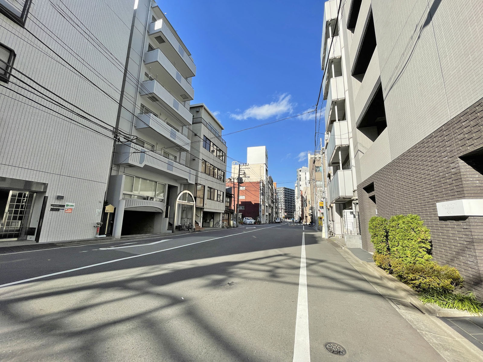 パートナーズビル前面の通り