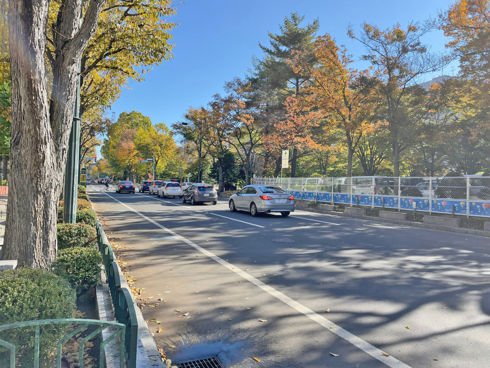 大通公園ビル前面の通り
