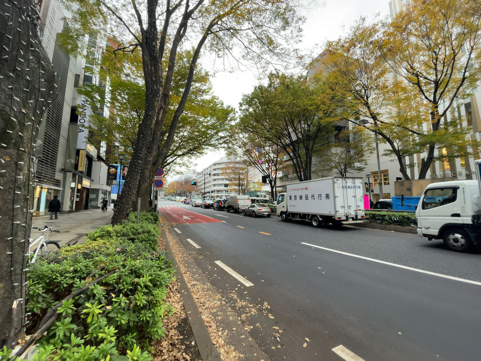 井門原宿ビル前面の表参道
