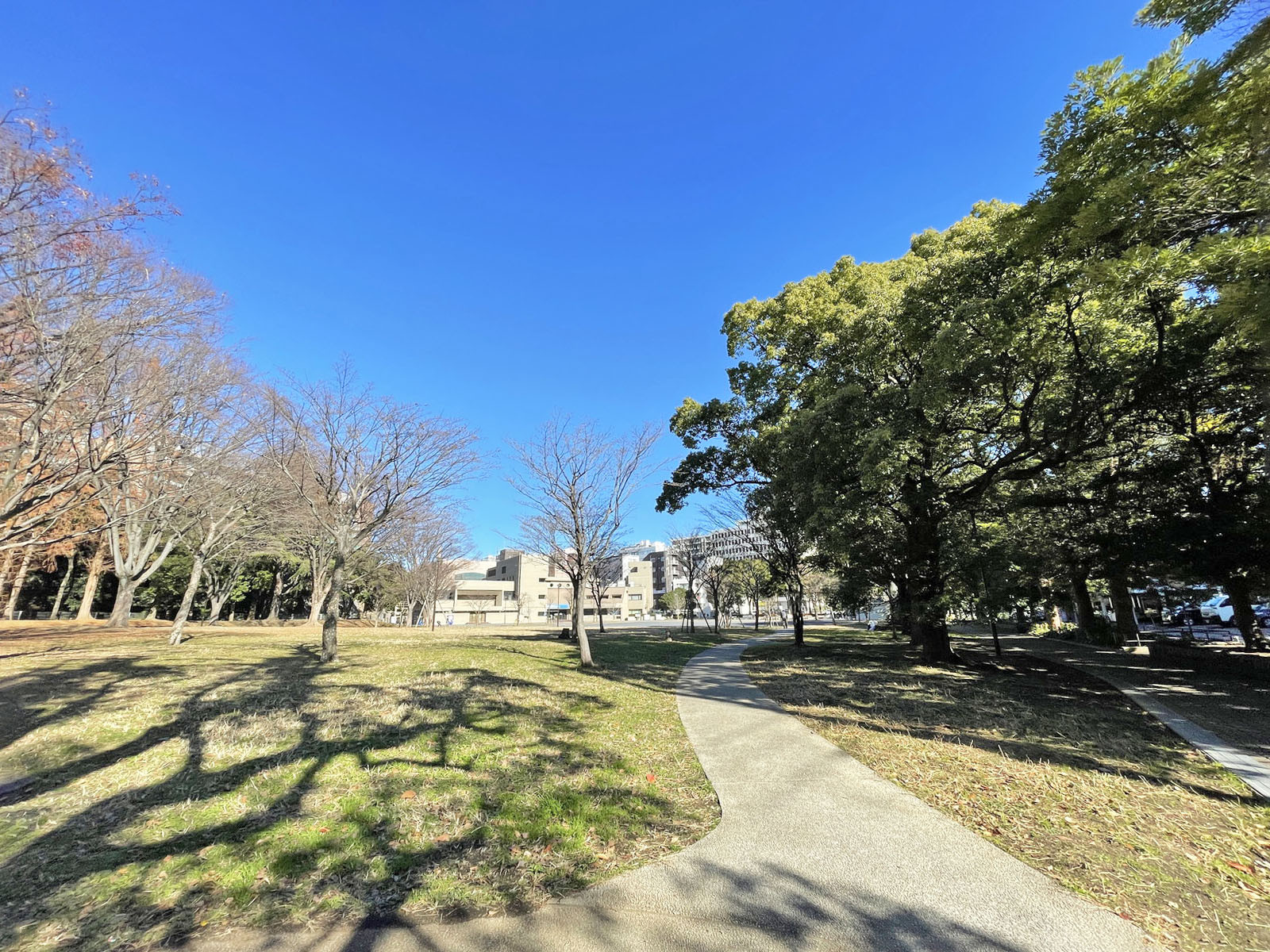 付近の沢渡中央公園
