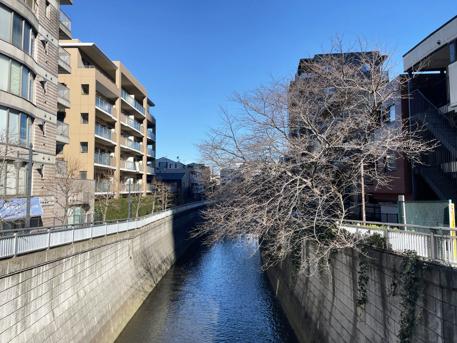 ビル横には神田川