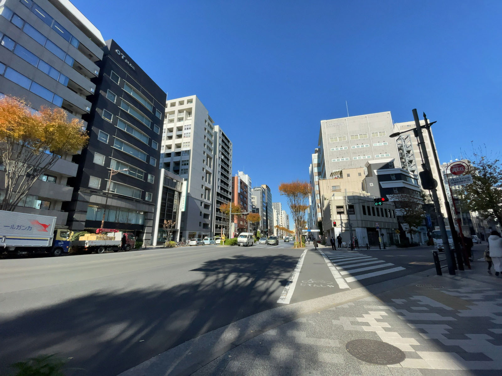 近くの御幸通り