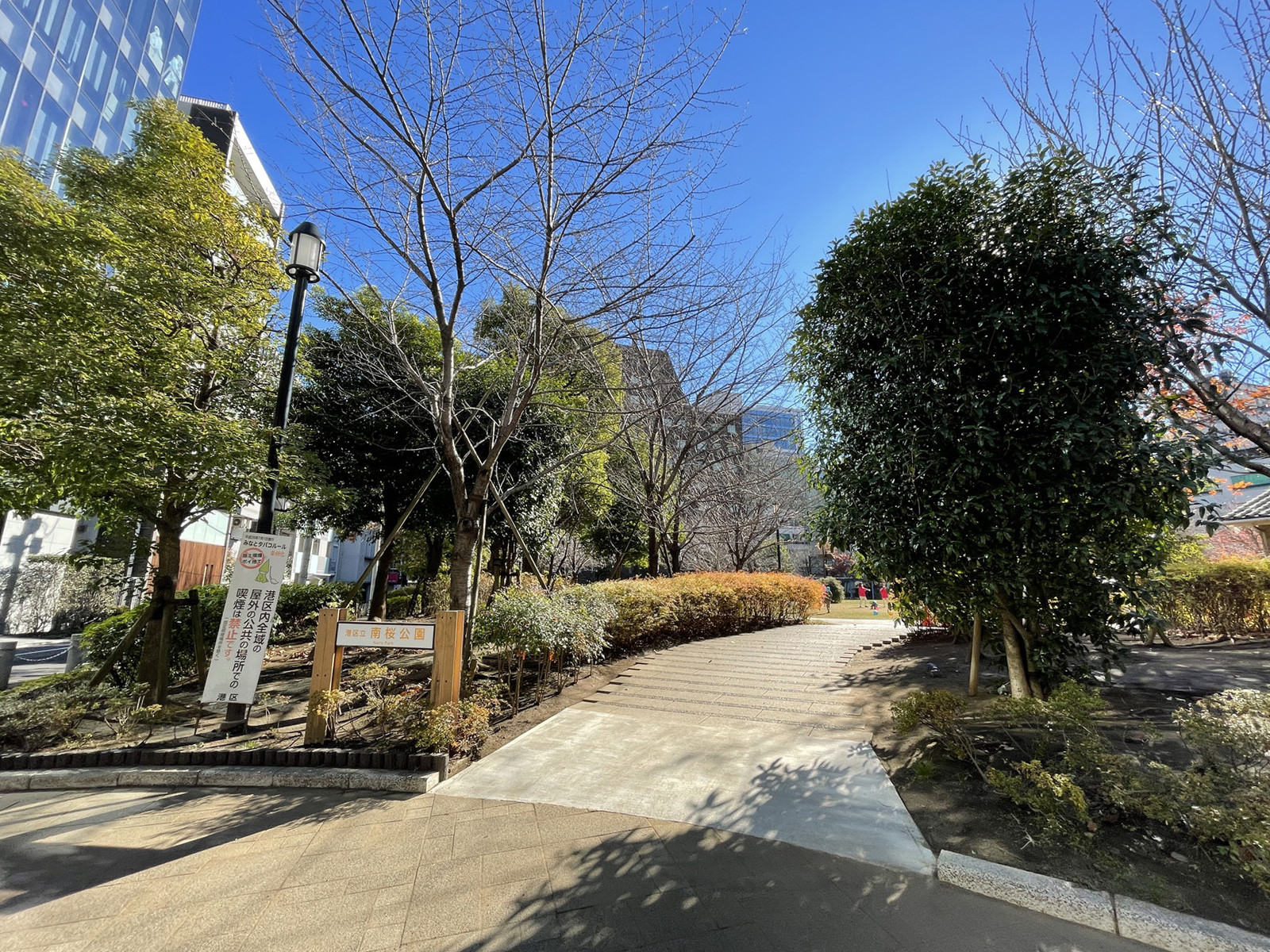 向かいの南桜公園