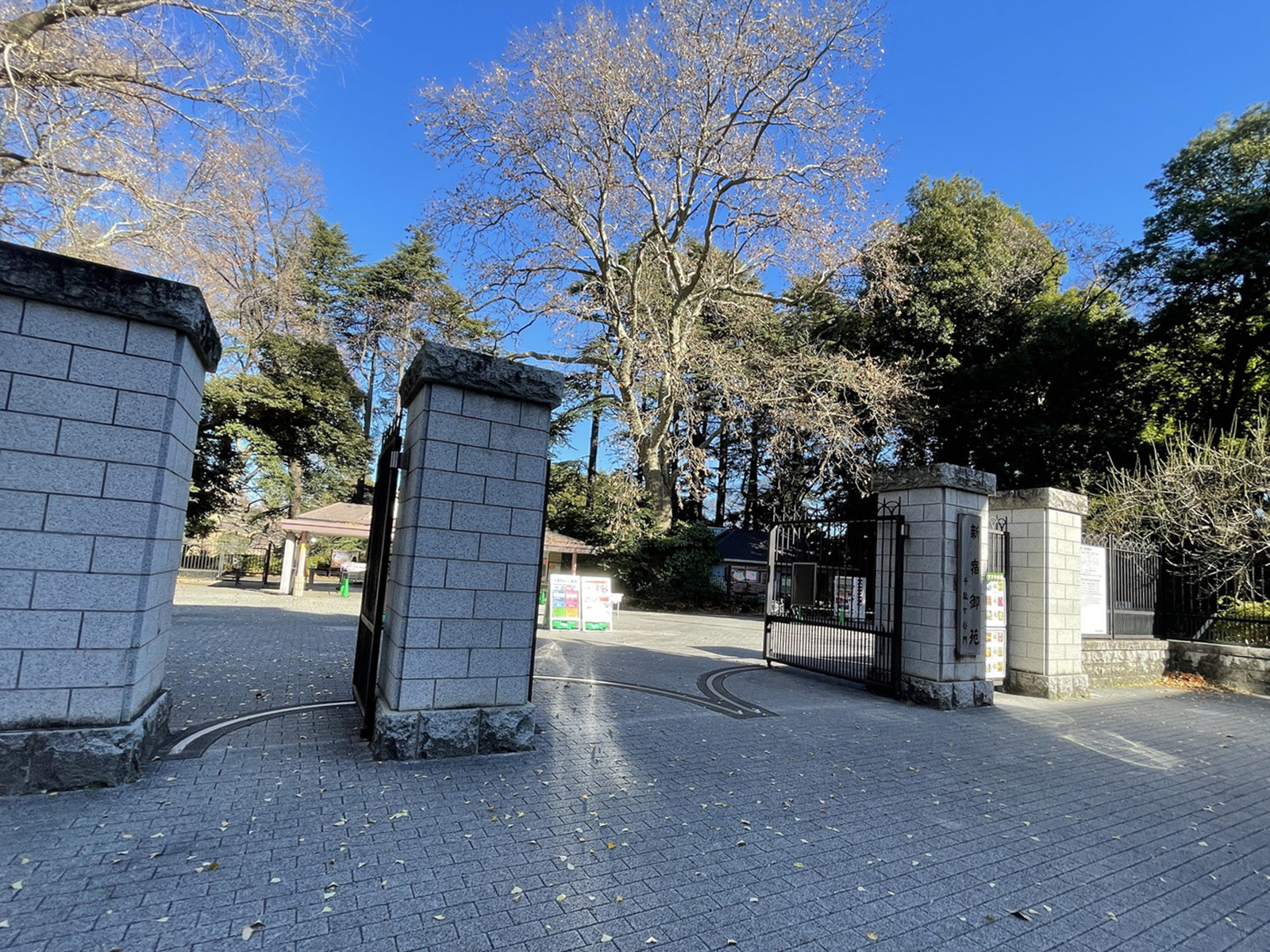 至近の新宿御苑
