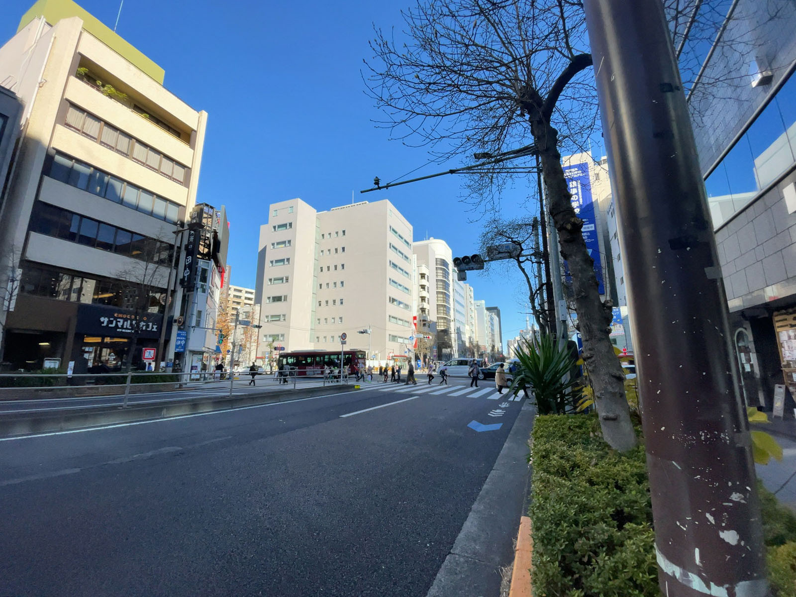 三報ビルディング前面の江戸通り