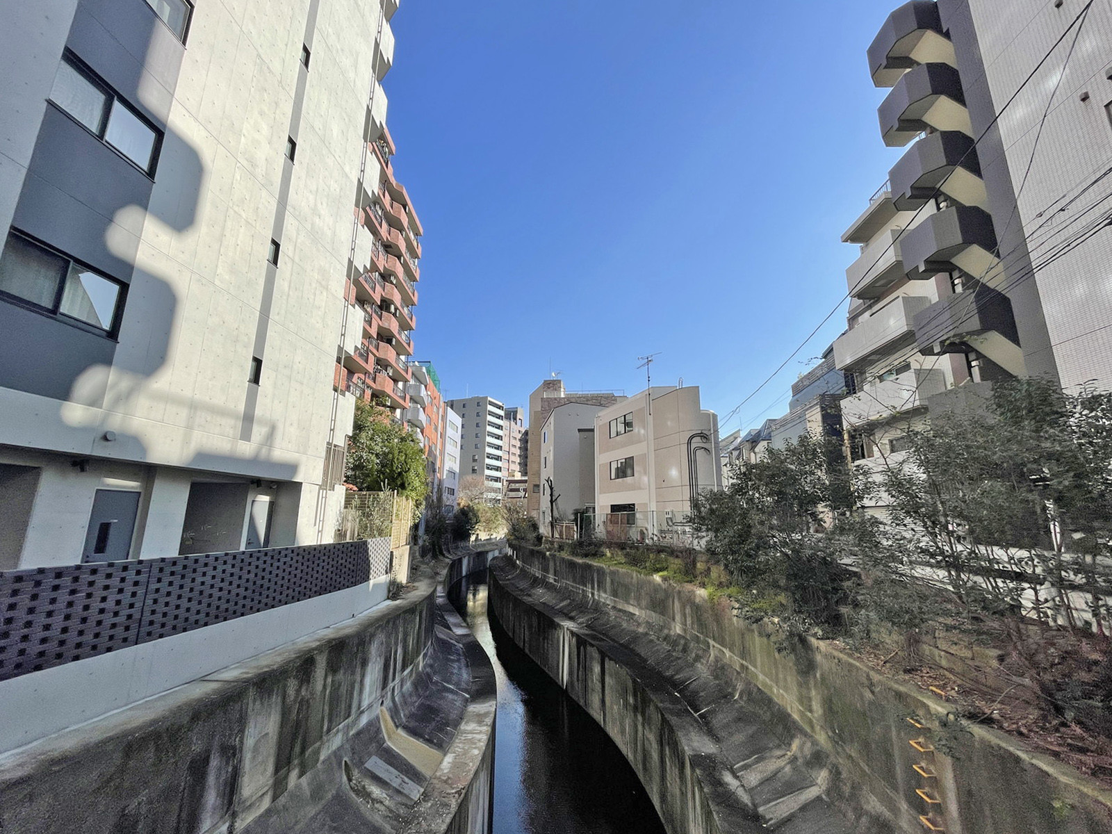 裏手の渋谷川