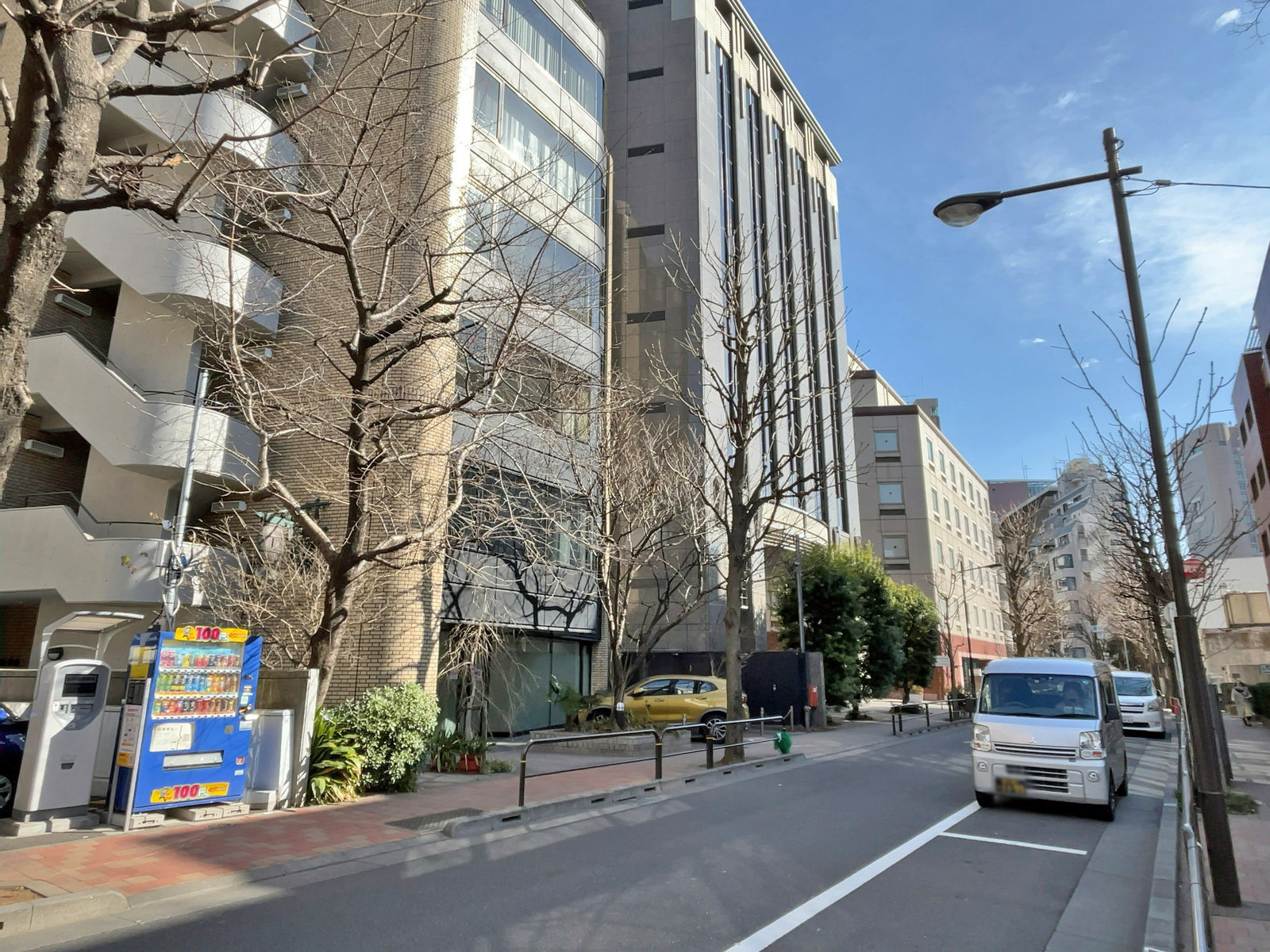 駿河台フジビュービル前面のとちの木通り