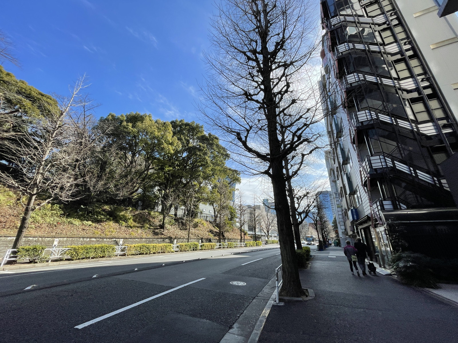 神山町並木ビル前面の通り