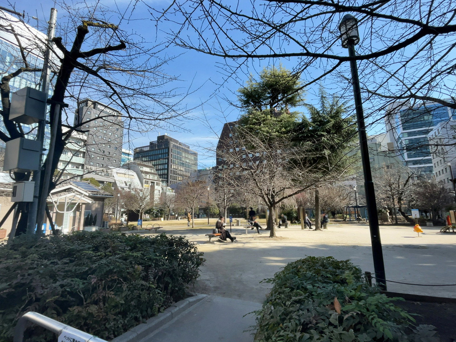 至近の南桜公園