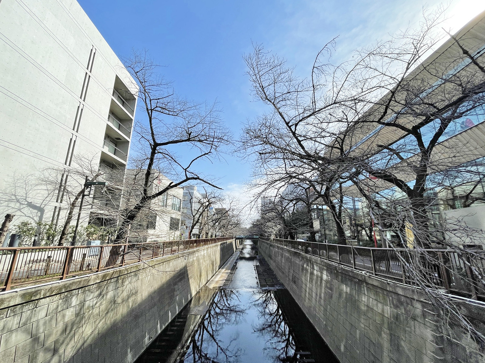 近くの目黒川