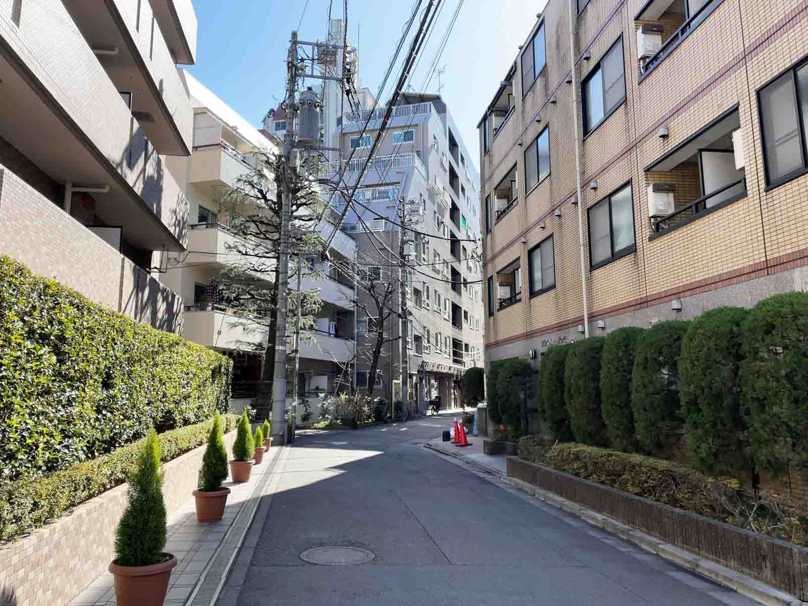 オアーキスタケビ前面の通り