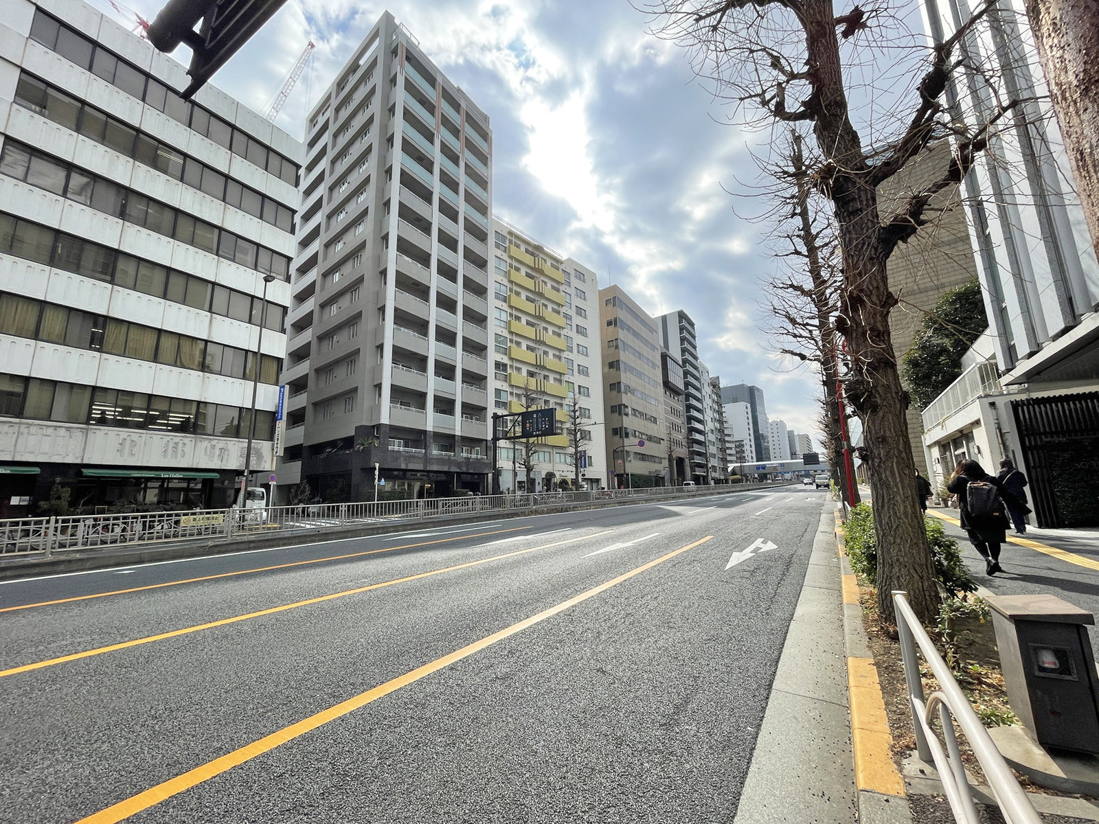 付近の桜田通り