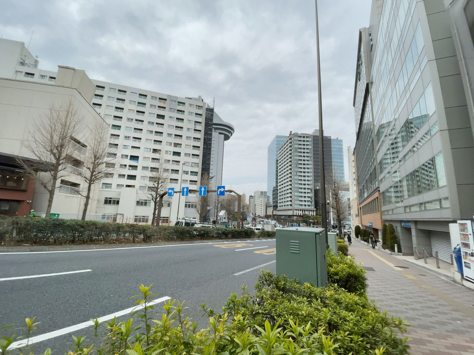 MSGビル前面の通り