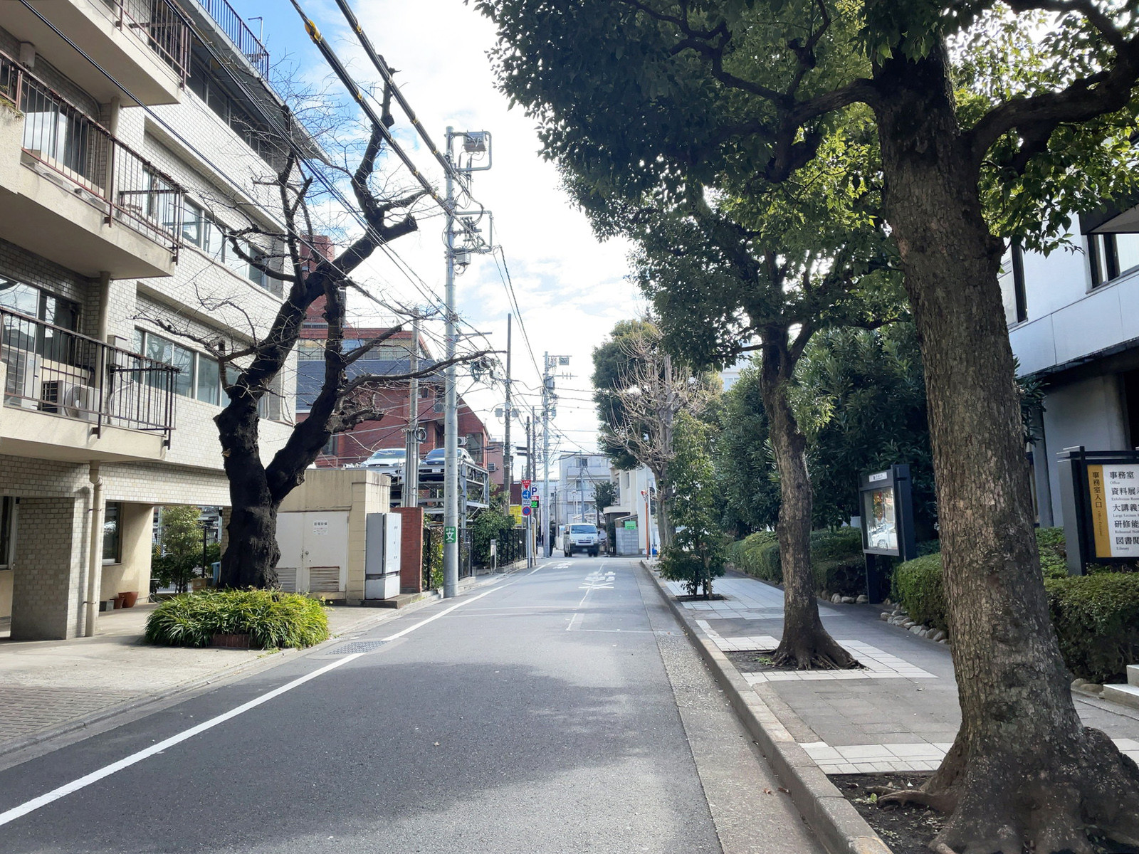 サクラマンション前面の通り