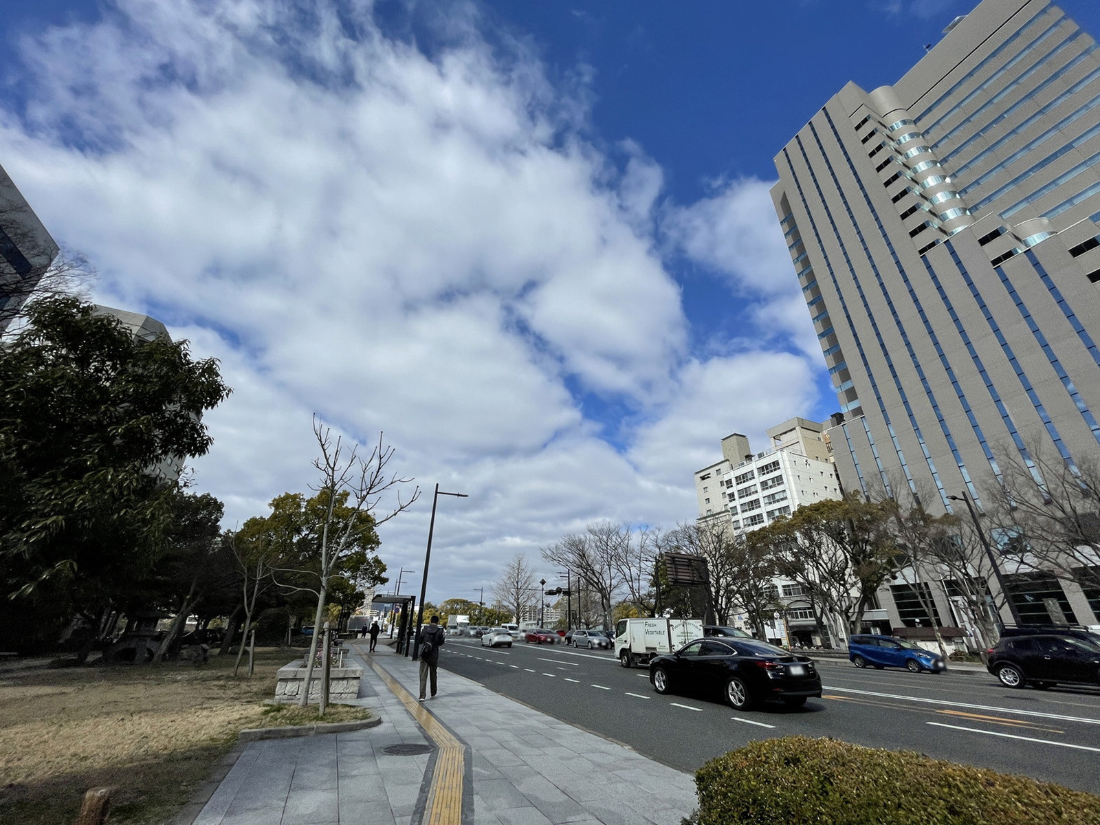 損保ジャパン日本興亜広島大手町ビル前面の通り